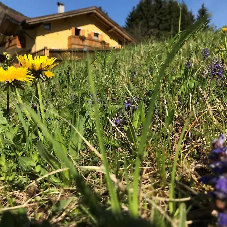 Eco-baita Natura Spensierata